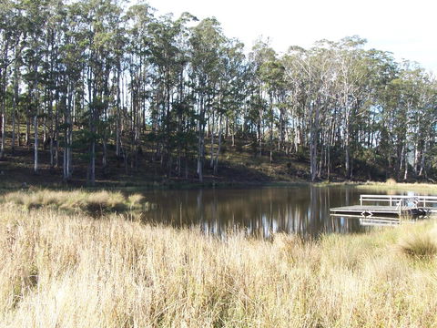 Quamby Pines Chalet - Accommodation Newcastle 14