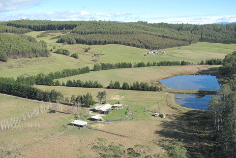 Quamby Pines Chalet - Accommodation Newcastle 7