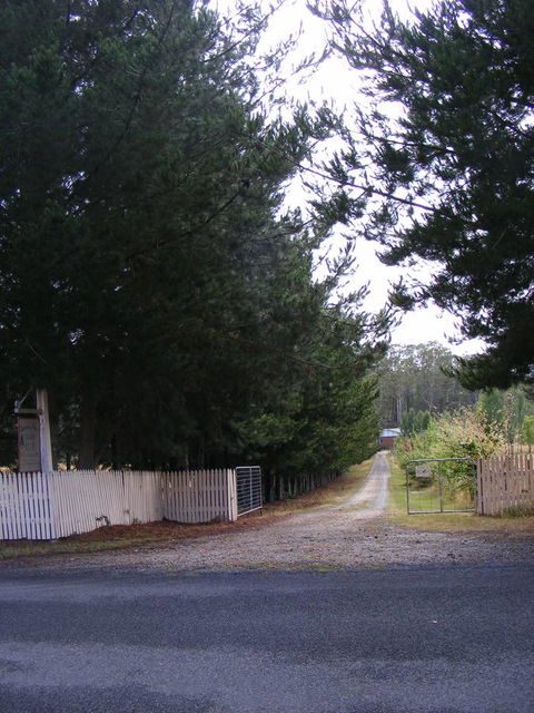 Quamby Pines Chalet - Accommodation Newcastle 2