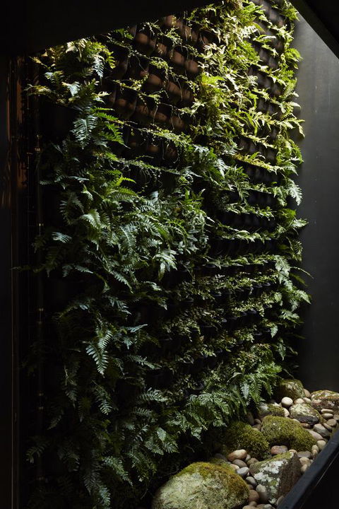 Moss Hotel - Accommodation Newcastle 2