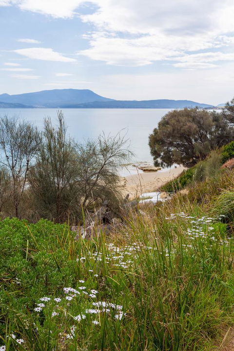Blessington Beach Retreat - Accommodation Newcastle 37