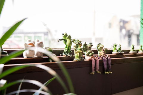 The Pickled Frog - Accommodation Newcastle 12