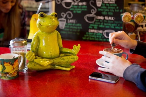 The Pickled Frog - Accommodation Newcastle 30