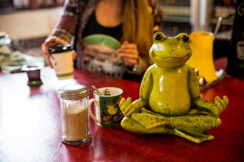 The Pickled Frog - Accommodation Newcastle 32