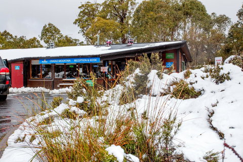 Discovery Parks - Cradle Mountain - Accommodation Newcastle 29