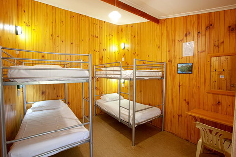Discovery Parks - Cradle Mountain - Accommodation Newcastle 31