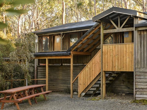 Discovery Parks - Cradle Mountain - Accommodation Newcastle 10