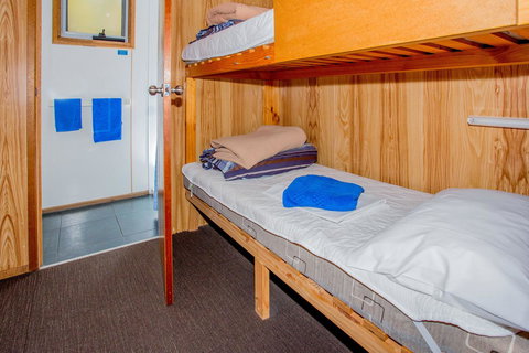 Discovery Parks - Cradle Mountain - Accommodation Newcastle 32