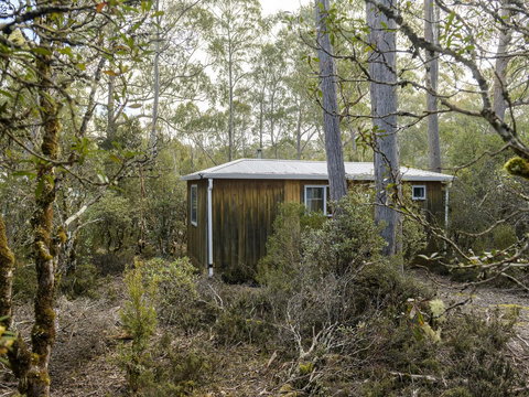 Discovery Parks - Cradle Mountain - Accommodation Newcastle 18