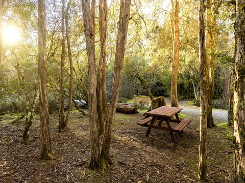 Discovery Parks - Cradle Mountain - Accommodation Newcastle 19