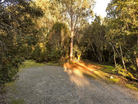 Discovery Parks - Cradle Mountain - Accommodation Newcastle 2