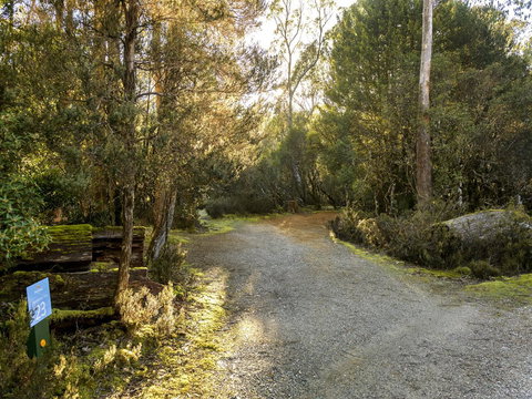 Discovery Parks - Cradle Mountain - Accommodation Newcastle 1