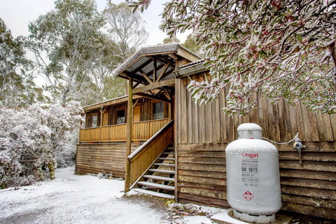 Discovery Parks - Cradle Mountain - Accommodation Newcastle 27