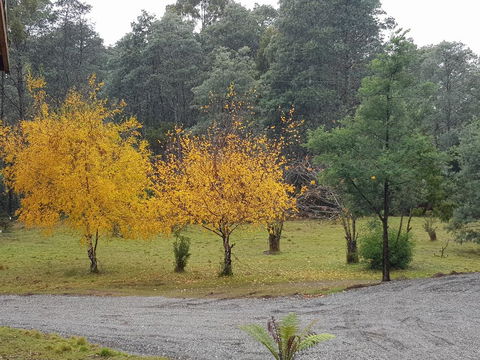 Cradle Alpine Retreat - Accommodation Newcastle 3