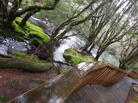 Cradle Alpine Retreat - Accommodation Newcastle 13
