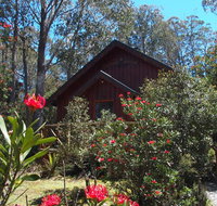 Cradle Mountain Highlanders - Accommodation Newcastle