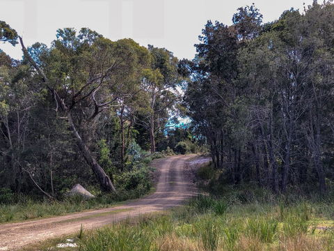 BAY OF FIRES ECO HUT Off Grid Experience At Binalong Bay - Accommodation Newcastle 12