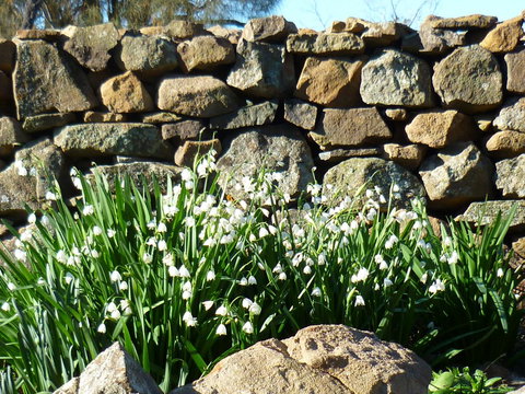 Wagners Cottages - Accommodation Newcastle 11