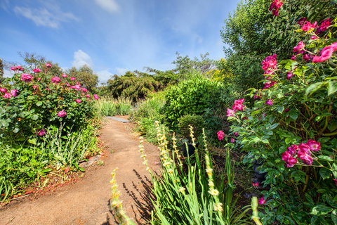 Wagners Cottages - Accommodation Newcastle 30