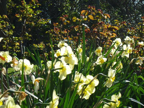Wagners Cottages - Accommodation Newcastle 13