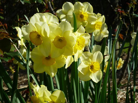 Wagners Cottages - Accommodation Newcastle 14