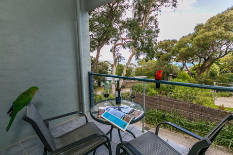 Lorne Surf Apartments - Accommodation Newcastle 21