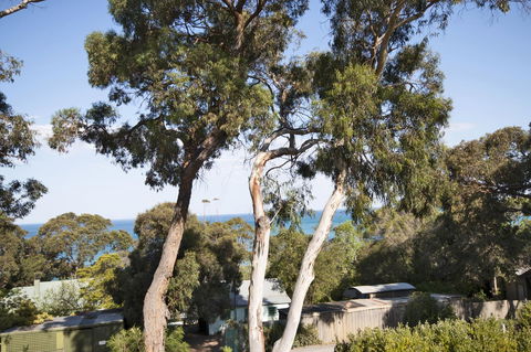 Lorne Surf Apartments - Accommodation Newcastle 6