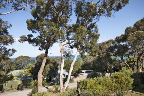 Lorne Surf Apartments - Accommodation Newcastle 11