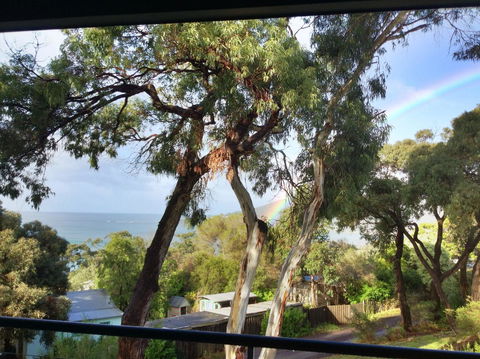Lorne Surf Apartments - Accommodation Newcastle 4