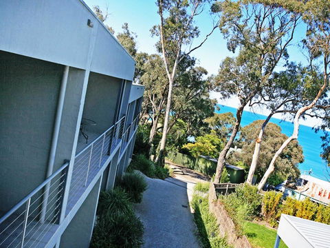 Lorne Surf Apartments - Accommodation Newcastle 10