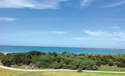 Apollo Bay Waterfront Motor Inn - Accommodation Newcastle 26