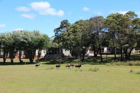 Halls Gap Lakeside Tourist Park - Accommodation Newcastle 1
