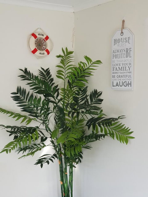 Dromana Holiday Beach House - Accommodation Newcastle 4