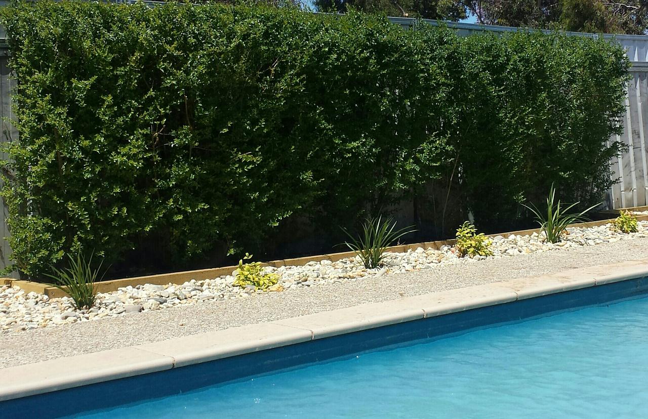 Annuello VIC Accommodation Newcastle