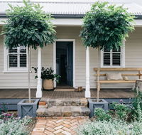 Acre of Roses - Accommodation Newcastle