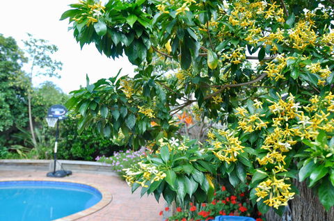 Crimea Retreat - Accommodation Newcastle 20