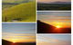 One Tree Hill Wilson Prom And Ocean Views - thumb 2