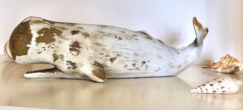 Sea Shells On Banyan Apartment - Accommodation Newcastle 4