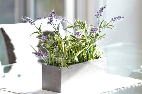 Tamara Temptation - Accommodation Newcastle 23