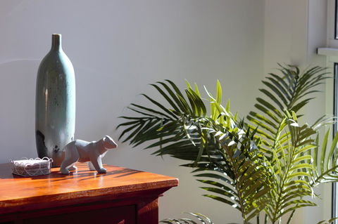 Tamara Temptation - Accommodation Newcastle 22