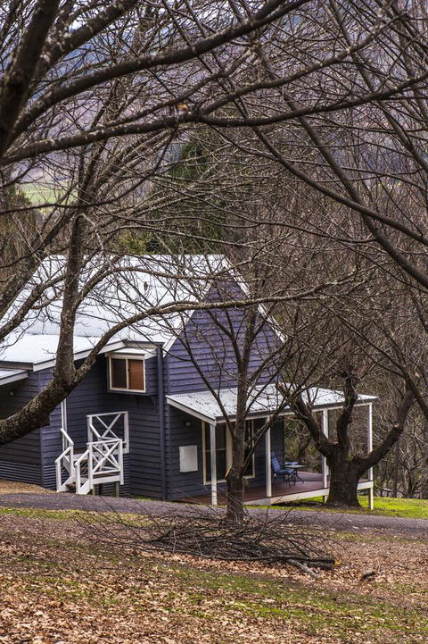 Abbys Cottages Bright - Accommodation Newcastle 32