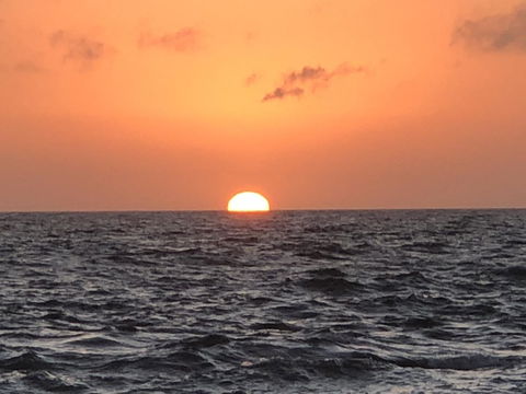 Beautiful, Cosy And Quiet - Accommodation Newcastle 27