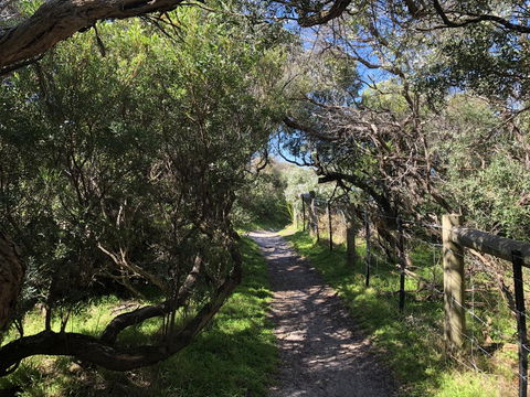 Beautiful, Cosy And Quiet - Accommodation Newcastle 20