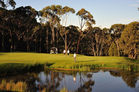 RACV Goldfields Resort - Accommodation Newcastle 31