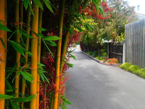 Azen Haven - Accommodation Newcastle 14