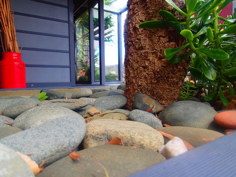 Azen Haven - Accommodation Newcastle 11