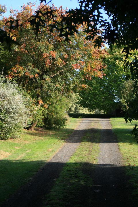 Strathmore Farm B&B - Accommodation Newcastle 27