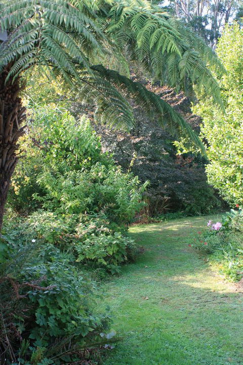 Strathmore Farm B&B - Accommodation Newcastle 21