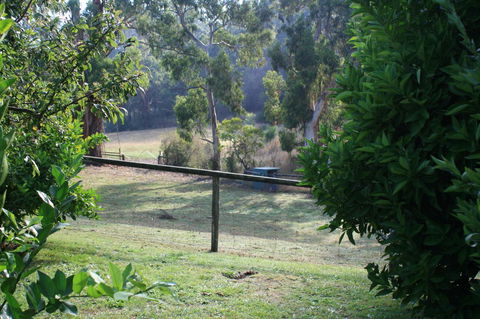 Strathmore Farm B&B - Accommodation Newcastle 30