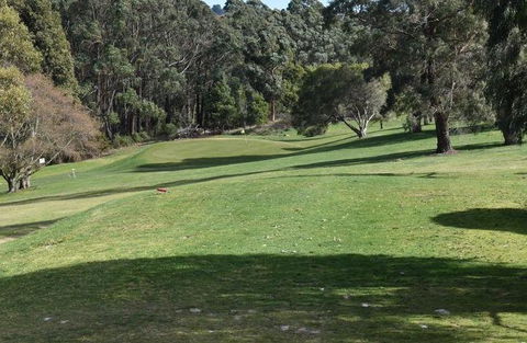 Strathmore Farm B&B - Accommodation Newcastle 5